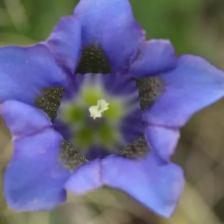 Mobilhome Jaunpass 208 * 볼티겐