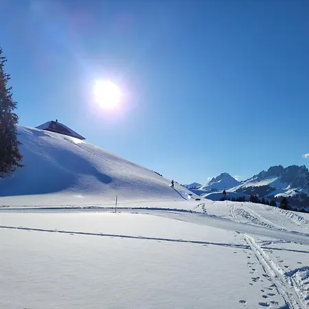 Mobilhome Jaunpass 208 Boltigen