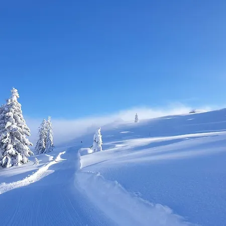 Mobilhome Jaunpass 208 Boltigen