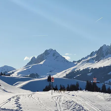 Mobilhome Jaunpass 208