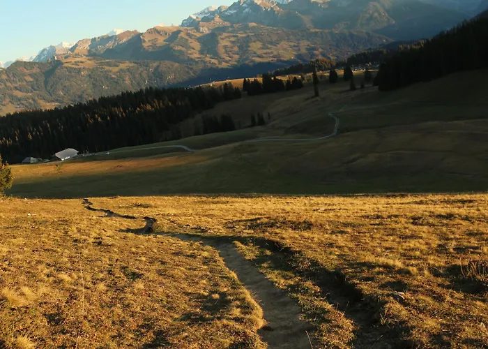 캠프장 Mobilhome Jaunpass 208